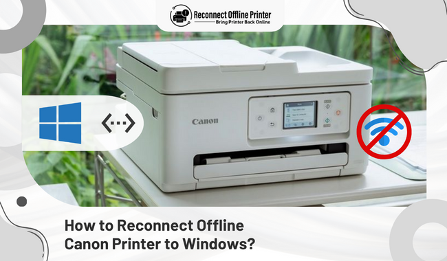 How to Reconnect Offline Canon Printer to Windows?