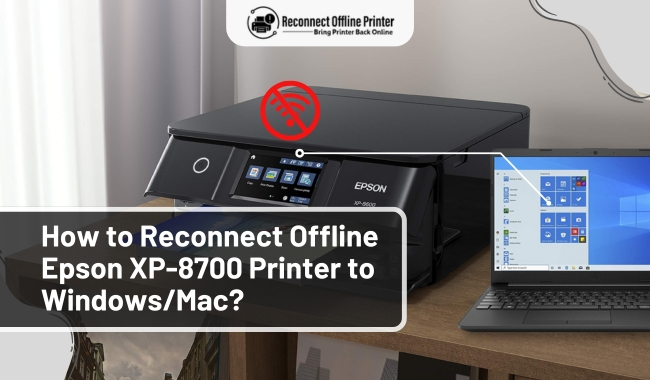 How to Reconnect Offline Epson XP-8700 Printer to Windows and Mac?